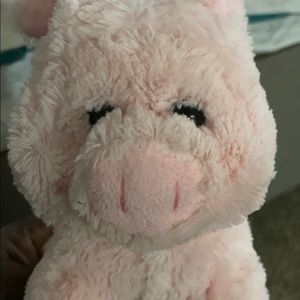 Meet your Posher, Ravoy